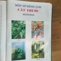 Bộ sách Từ điển Cây thuốc Việt Nam tập 1, 2 1021608