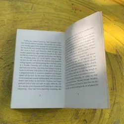 SWITCH- INGRID LAW 763340