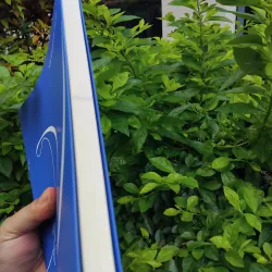 Song tử thơ Như Quỳnh de Prelle 995309