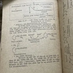 Bài giảng hóa sinh y học - gần 300 trang  799002