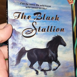 THE BLACK STALLION