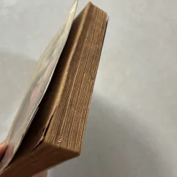 Đất tiền đất bạc - Mario Puzo 800623