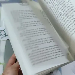 Nam Cực Tinh - Phong Duy 744707