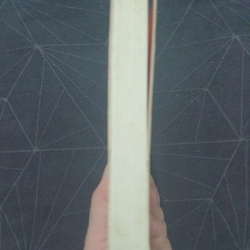 "Không tự khinh bỉ, không tự phí hoài" - Vãn Tình 497212