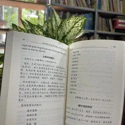 CHỮ TRÊN ĐÁ, CHỮ TRÊN ĐỒNG-MINH VĂN VÀ LỊCH SỬ - HÀ VĂN TẤN 934022