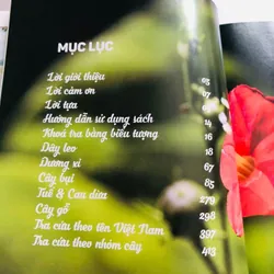 📚 500 LOÀI CÂY THƯỜNG DÙNG TRONG THIẾT KẾ CẢNH QUAN – Đinh Quang Diệp 601883