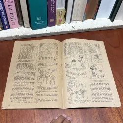 II Phụ Bản Khoa Học Phổ Thông: Kỹ Thuật Sản Xuất Các Loại Nước Chấm - 1981 960374
