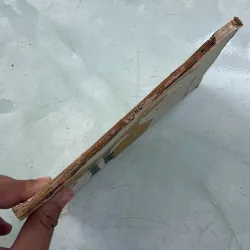 Vùng đất sôi động - Nguyễn Trần Thiết - 1985s 996949