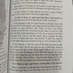 DẤU ẤN VĂN HÓA THỜI TIỀN SỬ - SƠ SỬ VÙNG LÒNG HỒ PLEI KRÔNG, KONTUM - NGUYỄN KHẮC SỬ 977385