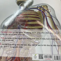 Atlas giải phẫu cơ thể người Bs Alice Roberts 680876