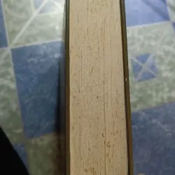 Việt Nam Phật giáo sử luận - Nguyễn Lang 974915