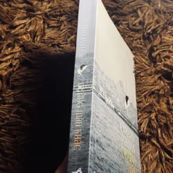 Những màu khác 1022212