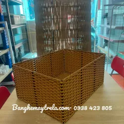 Khay mây nhựa để đồ hình chữ nhật 1008015