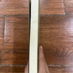 Thiếu Nữ Đeo Hoa Tai Ngọc Trai - Tracy Chevalier (9) 558705