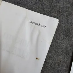 Con chim trốn tuyết 1004997