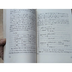 Ngữ pháp kinh nghiệm của cú tiếng Việt - Hoàng Văn Vân 544758