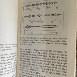 Âm sinh học lý thú- dịch từ tiếng Nga  1026243