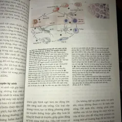 Sinh học phân tử của tế bào tập 1  1010153