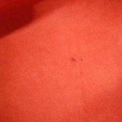 Túi xách Louis Vuitton Damier Saleya PM N51183 - Hàng hiệu Chính hãng 771796