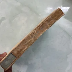 Sư đoàn đồng bằng - 1983s 996253