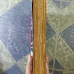 sơ lược lịch sử tiểu thuyết Trung Quốc - Lỗ Tấn 700391