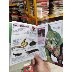 Bách Khoa Thiếu Nhi Động Vật - Dorling Kindersley Limited