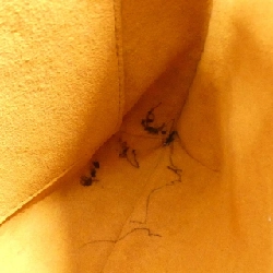 Túi xách vai Louis Vuitton Monogram Musette Salsa M51387 613169