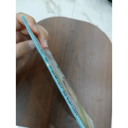 The Playground Bully - Bernice Chardiet, Grace Maccarone & G. Brian Karas 543124