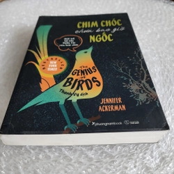Chim chóc chưa bao giờ ngốc | Jennifer Ackerman 517750