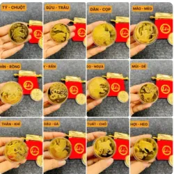 Móc Khóa Đồng Xu Con Hợi Mạ Vàng Treo Oto, Xe Máy Phong Thủy 1013699
