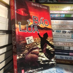 Bão lửa - David Klass