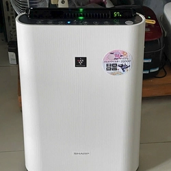 🌀 MÁY LỌC KHÔNG KHÍ SHARP KC-S50W – MÁY LỌC KHÔNG KHÍ 2 TRONG 1 TẠO ẨM & LỌC BỤI  503955