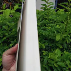 Cổ học điểm tô, nghiên cứu Hán Nôm từ góc nhìn của các nhà khoa học trẻ  975231