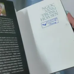 Ngọc Sáng Trong Hoa Sen - Nguyên Phong 961181