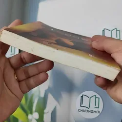 Blogger - Phong Điệp 798352