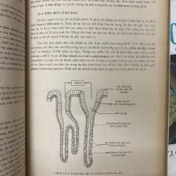 Sinh học (trọn bộ 1 tập)-W.D. Phillips và T.J. Chilton.  1032487