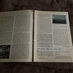 Văn hóa Việt Nam tổng hợp 1989, 1995 674745