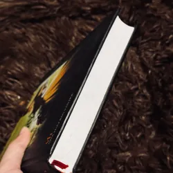 Bà Bovary (bìa cứng) 737310