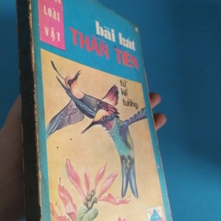 BÀI HÁT THẦN TIÊN - TỪ KẾ TƯỜNG 530045