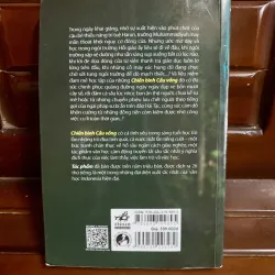 Chiến binh cầu vồng 1027328