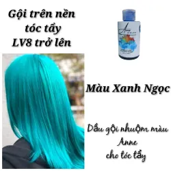 Dầu Gội Bù Màu Anne Màu Xanh Dành Cho Tóc Tẩy 100ML 250ML 762698