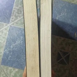 Hòn tuyết lăn ( 2 tập) - Alice Schroeder 1028954