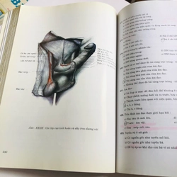 1. BÀI GIẢNG GIẢI PHẪU HỌC ( đủ bộ 2 tập) 536635