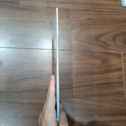 Pháp luân đại pháp 929505