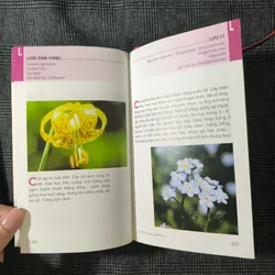 [Bìa cứng] Từ điển tranh về các loài hoa - Lê Quang Long 590816