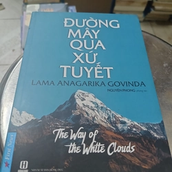 Combo sách của dịch giả Nguyên Phong