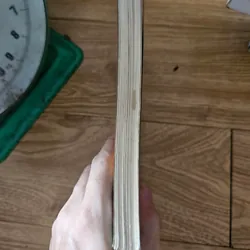 Kỹ thuật nuôi trồng cấy lan
 701584