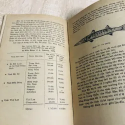 NGUỒN SINH VẬT BIỂN ĐÔNG 956906