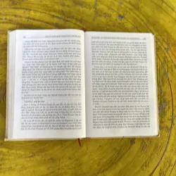 LỊCH SỬ NGHỆ THUẬT THANH NHẠC PHƯƠNG TÂY - HỒ MỘ LA 961849