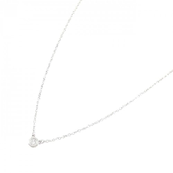 Dây chuyền Tiffany By The Yard - Hàng hiệu Authentic 839970